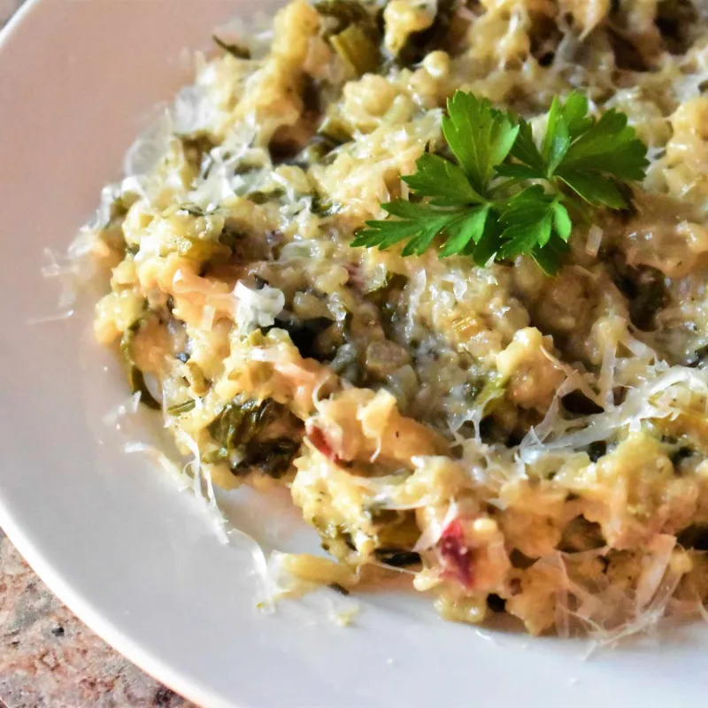 Snack recipes