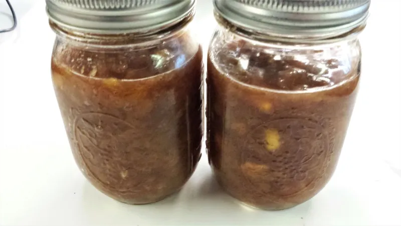 Snack recipes