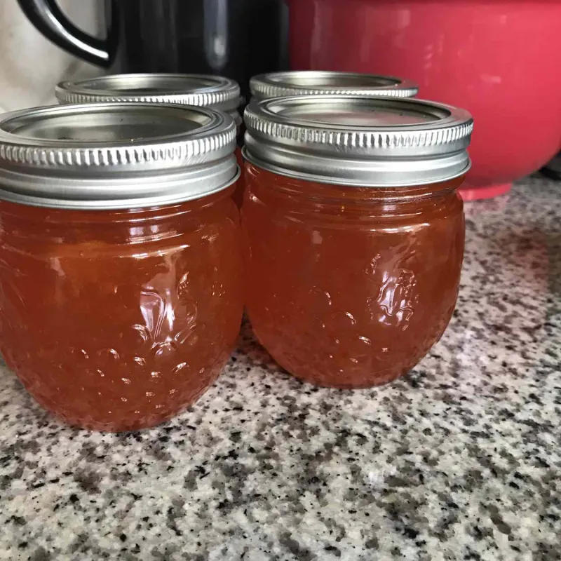 Snack recipes