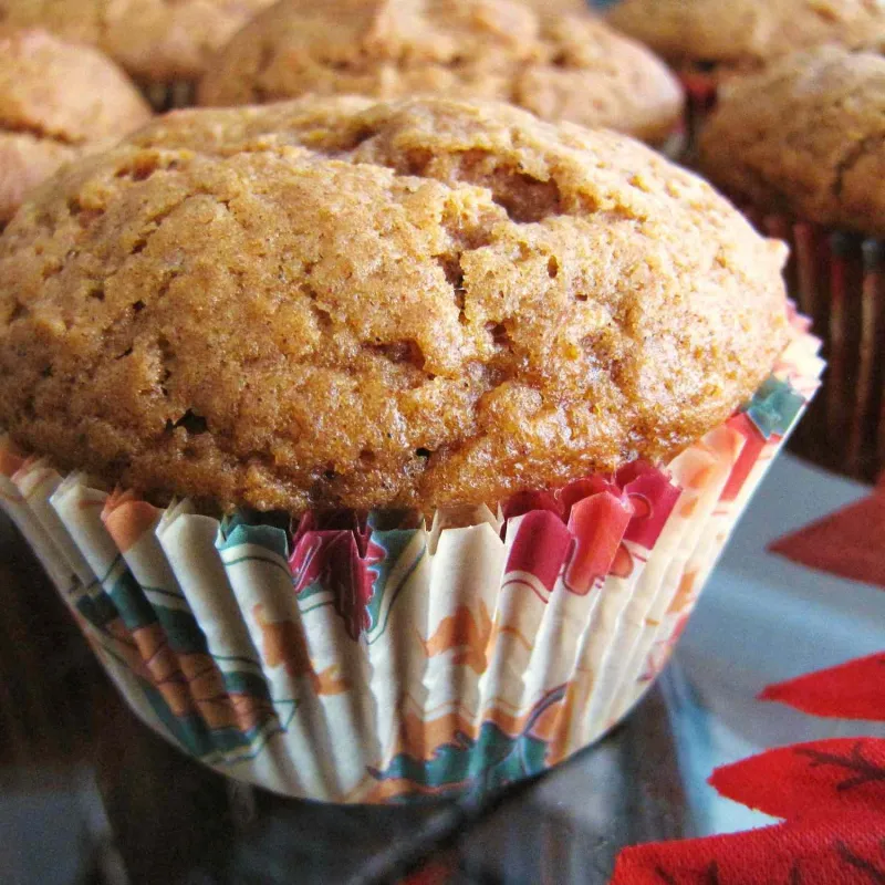 Snack recipes