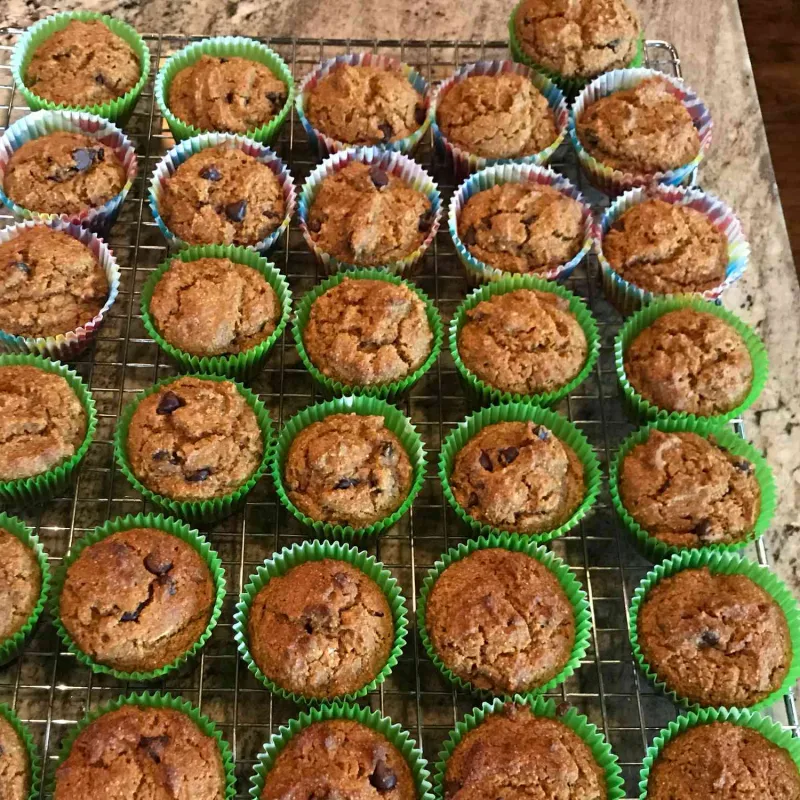 Snack recipes