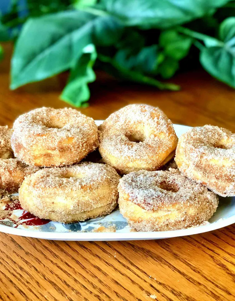 Snack recipes