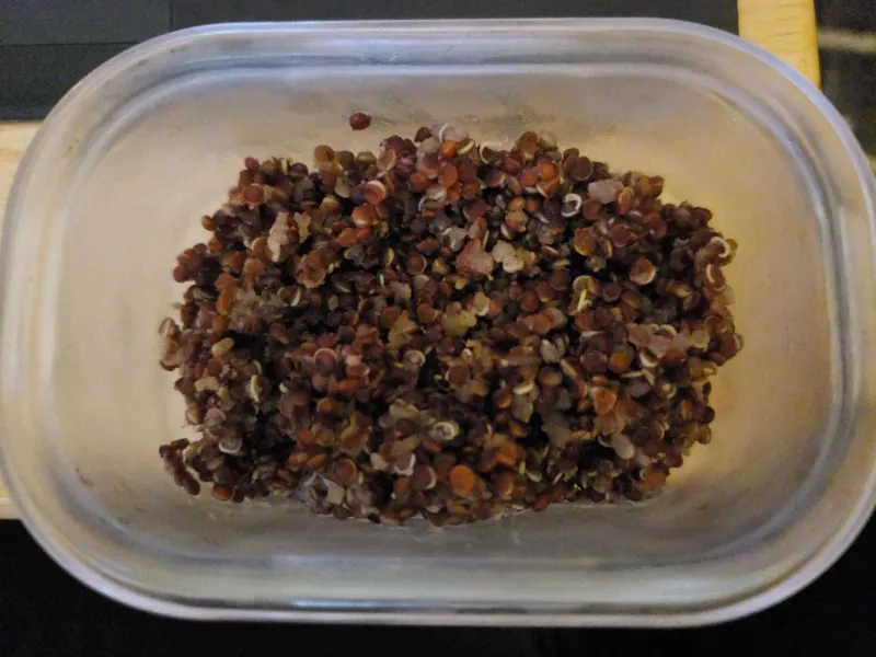 Snack recipes
