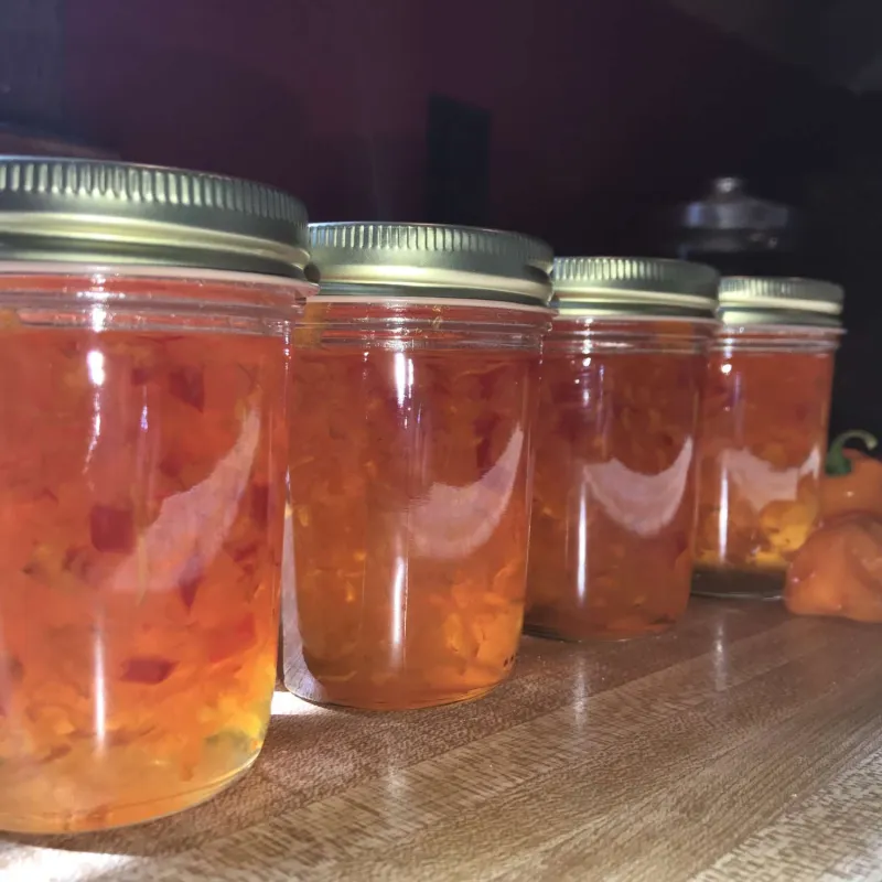 Snack recipes