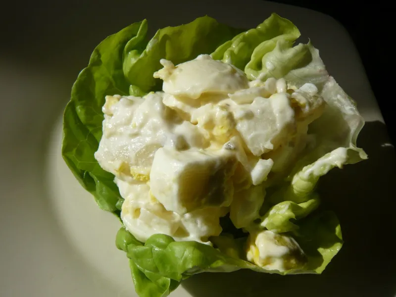 Snack recipes