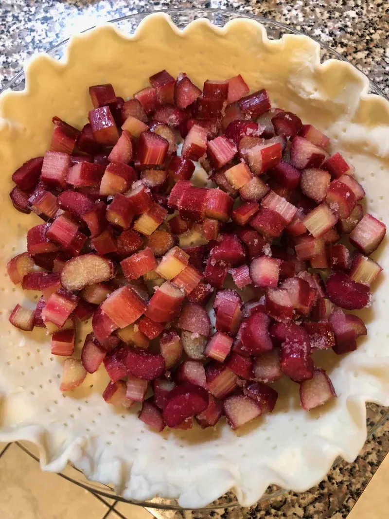 Snack recipes