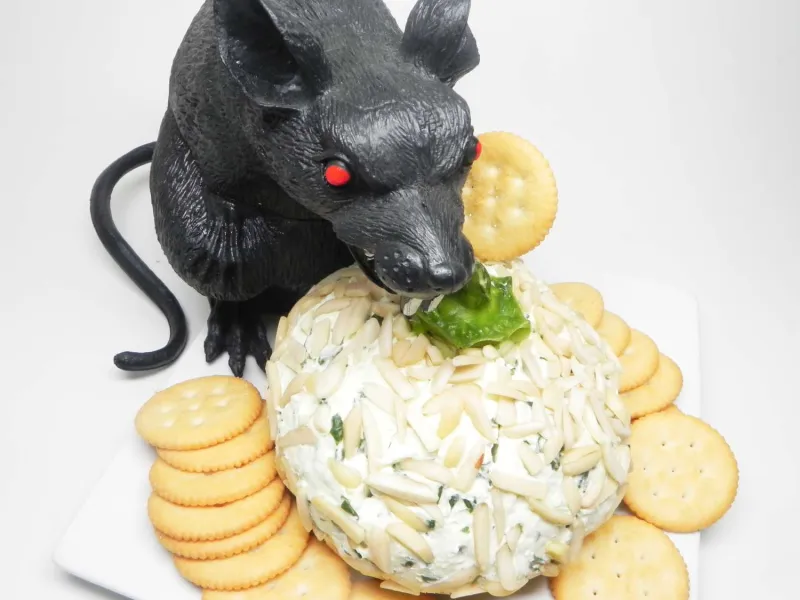 Snack recipes