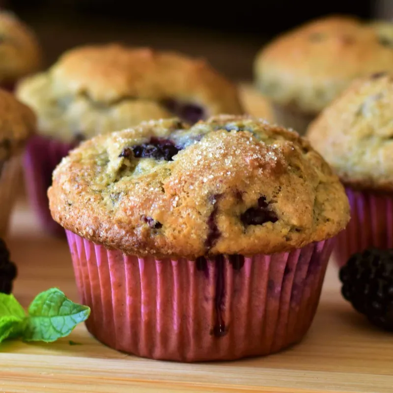 Snack recipes