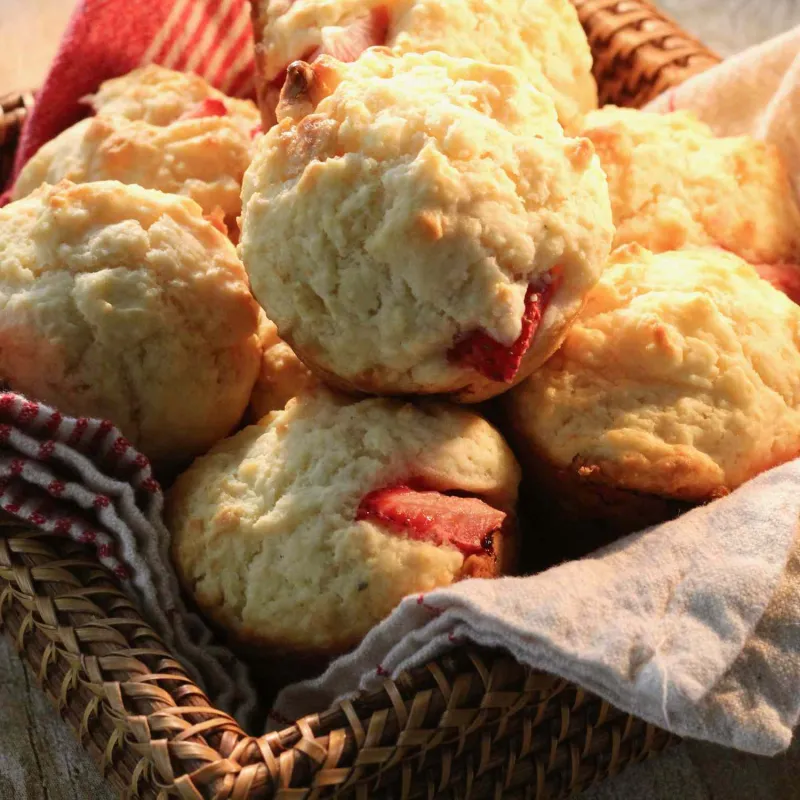 Snack recipes