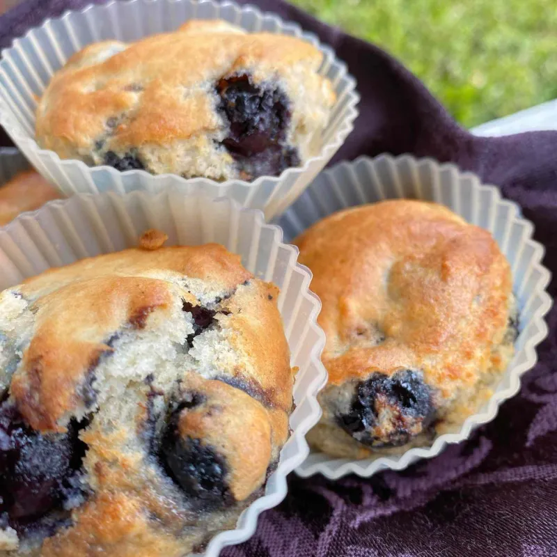 Snack recipes