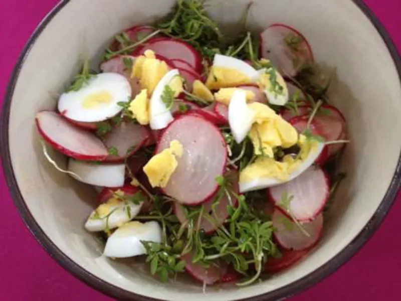 Snack recipes