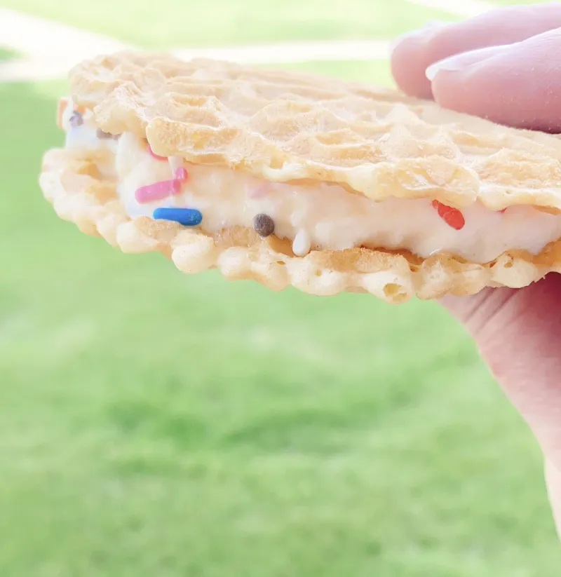 Snack recipes