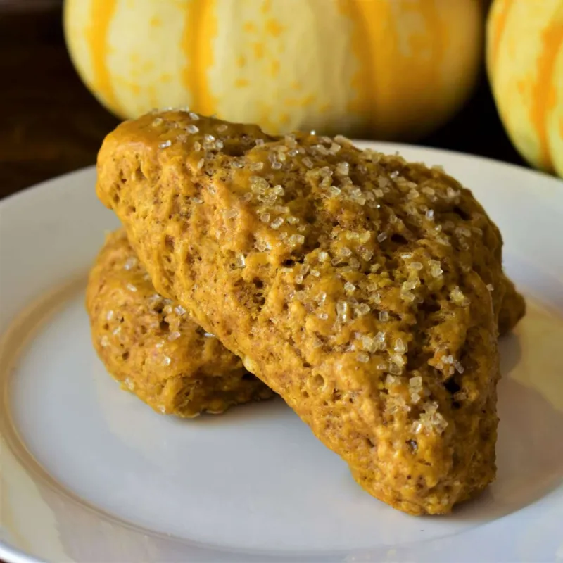 Snack recipes