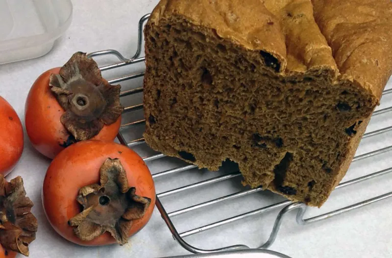 Snack recipes