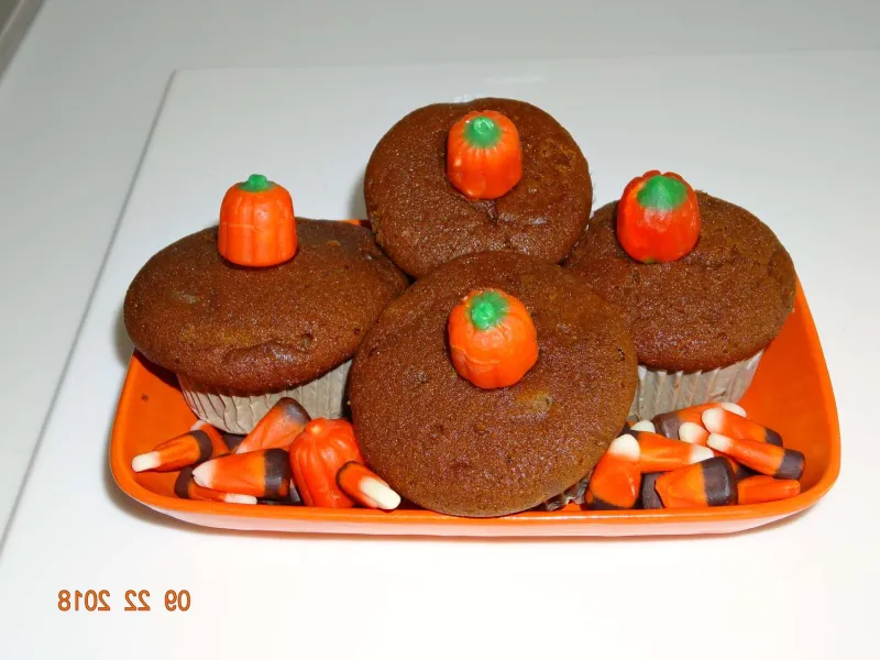 Snack recipes