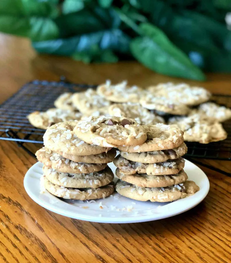 Snack recipes