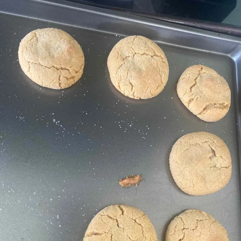 Snack recipes