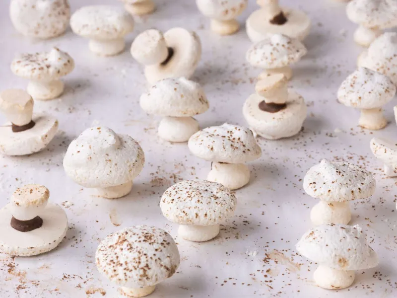Snack recipes