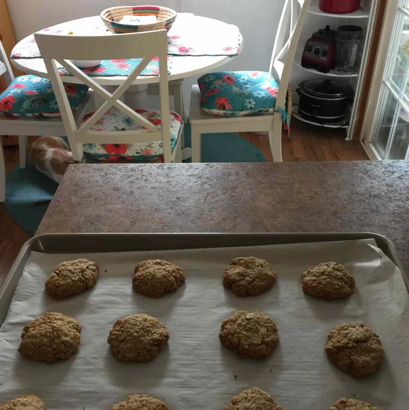 Snack recipes