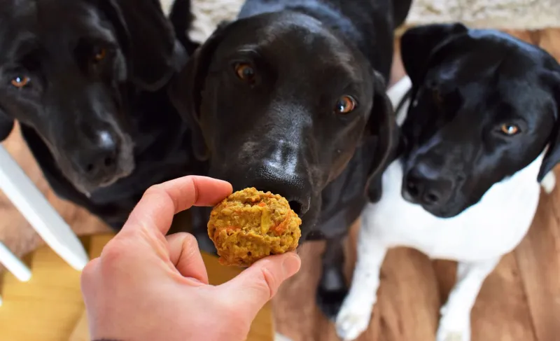 Snack recipes