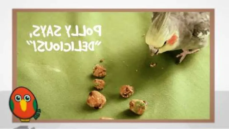 Snack recipes