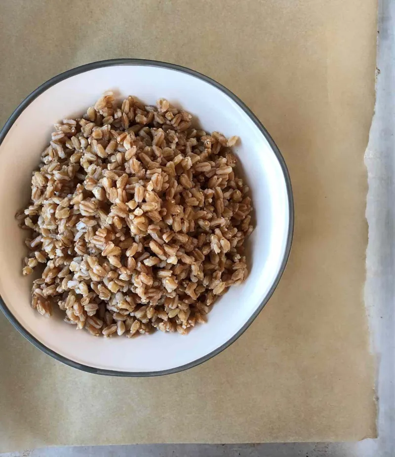 Snack recipes