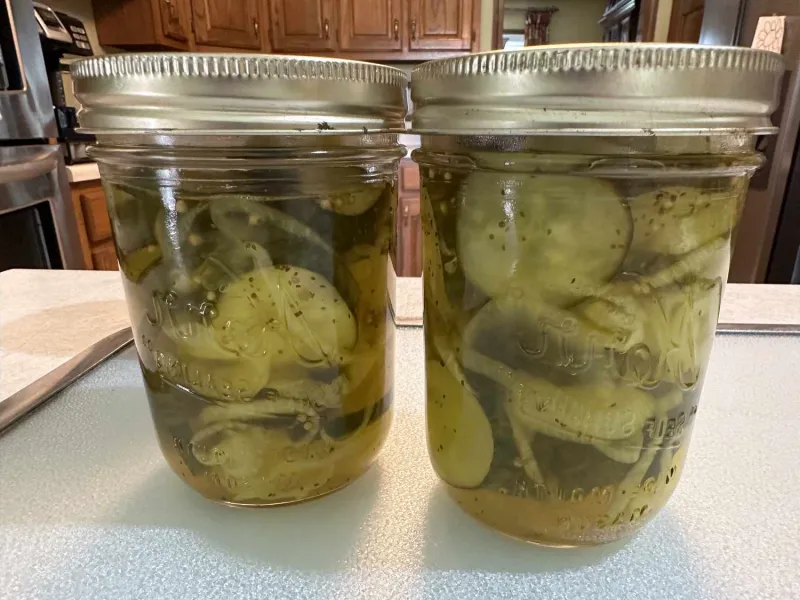 Snack recipes