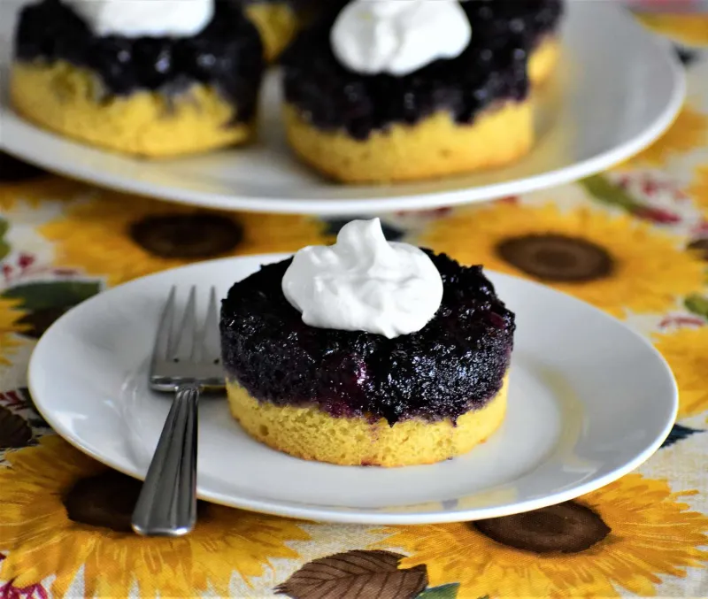Snack recipes