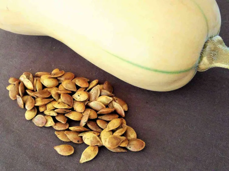 Snack recipes