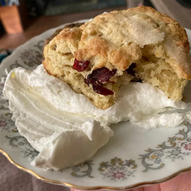 Snack recipes
