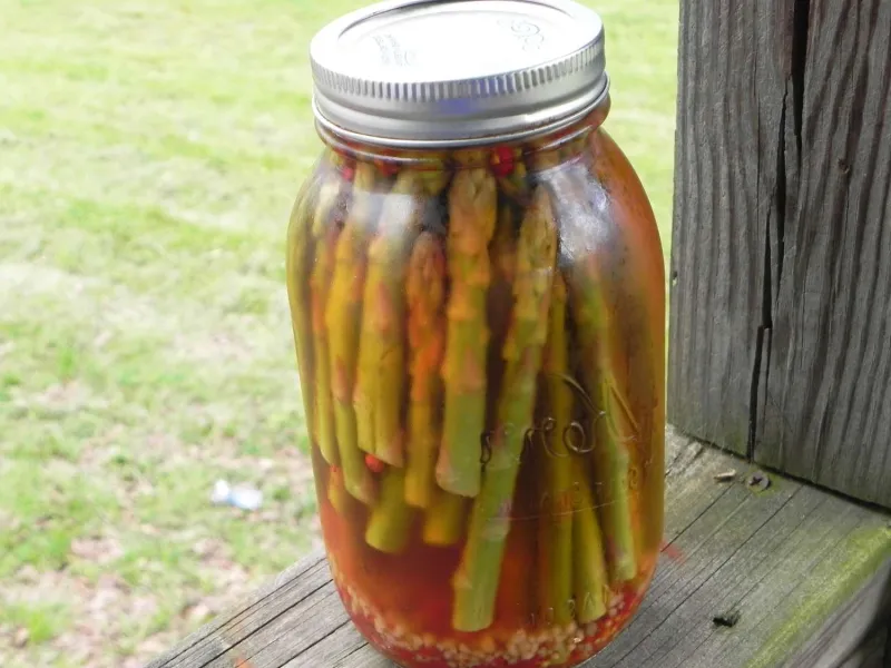 Snack recipes