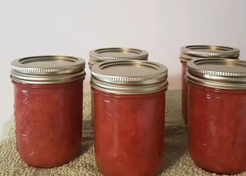 Snack recipes