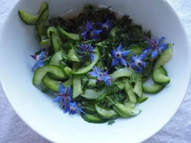 Snack recipes