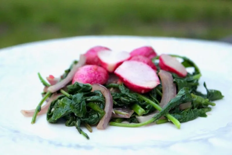 Snack recipes
