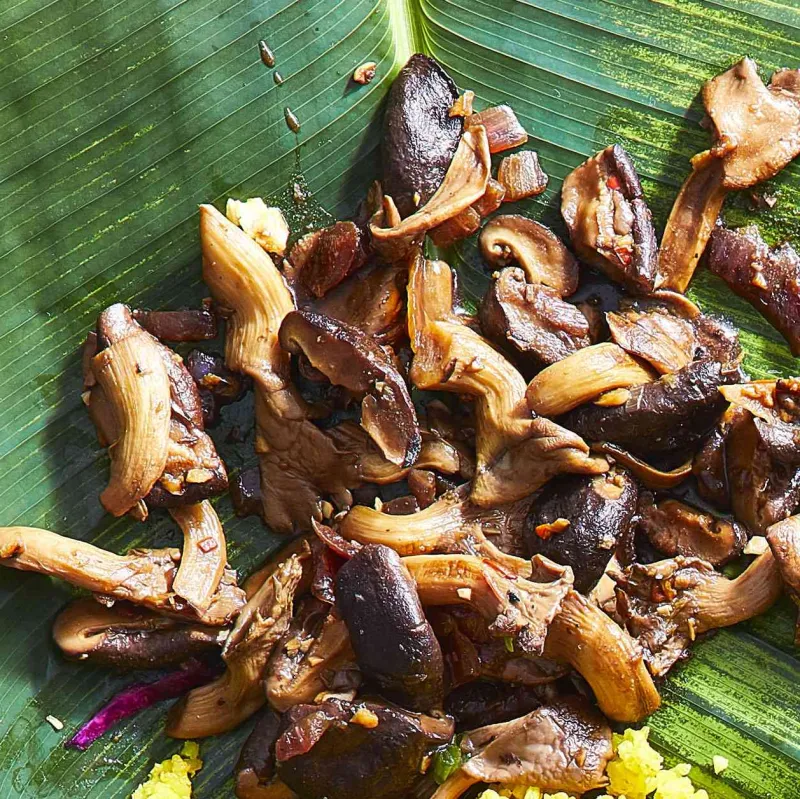 Snack recipes