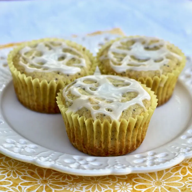 Snack recipes