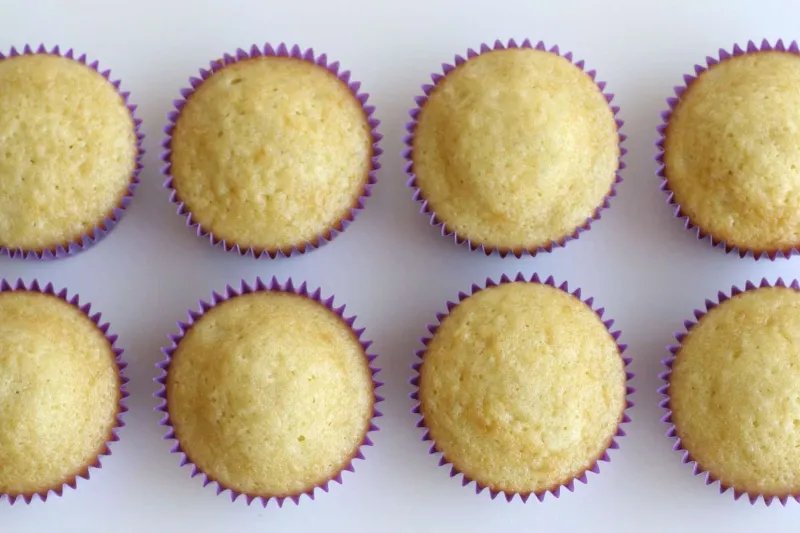 Snack recipes