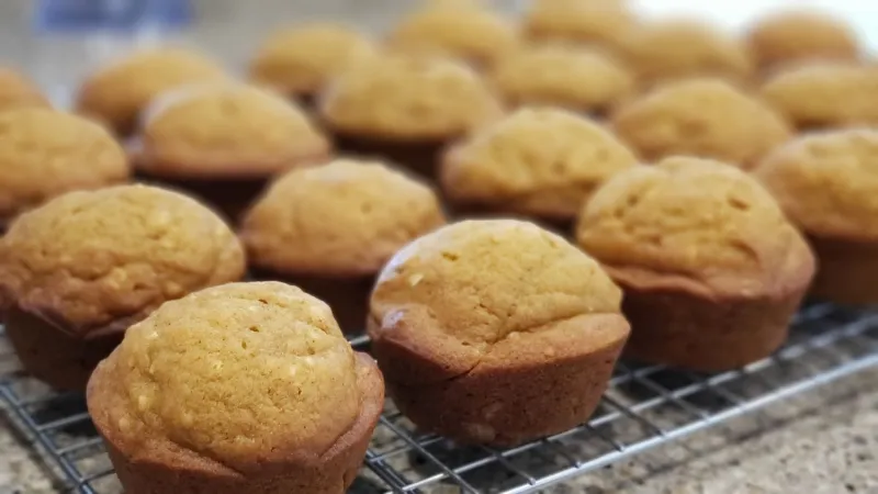 Snack recipes