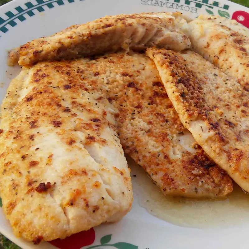 Snack recipes